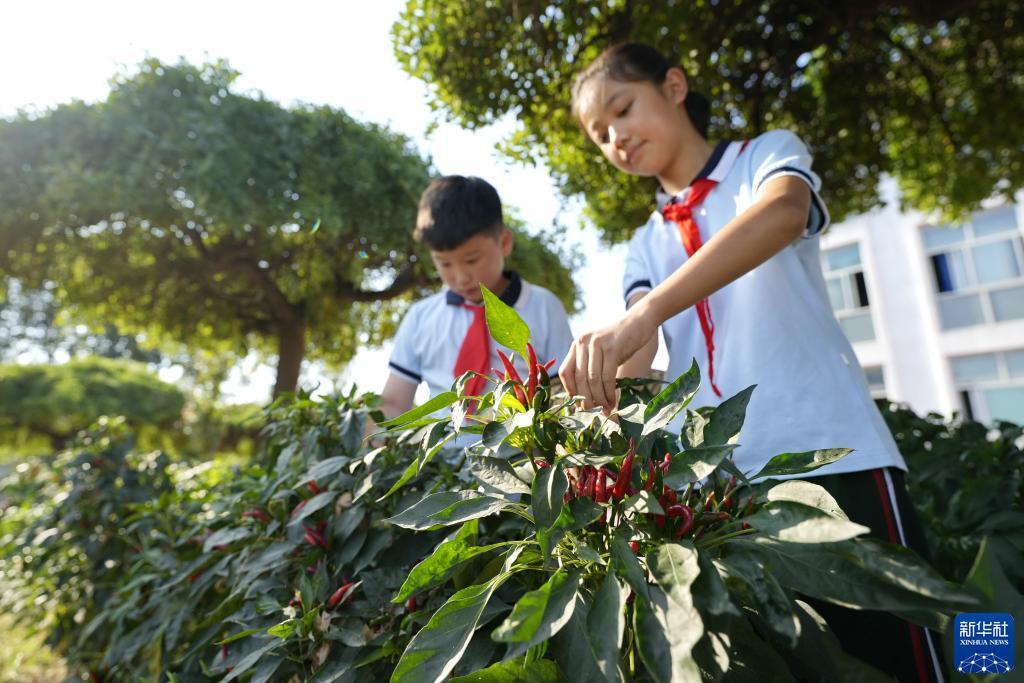 大赢家大乐透过滤软件